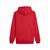 F1 ESS MENS LOGO HOODY