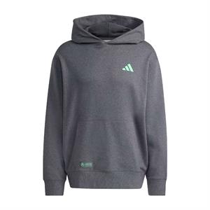MERCEDES FW MENS HOODIE GREY