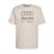 AUDI F1 MENS DNA TEE CHAPEA 2026