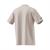 AUDI F1 MENS DNA TEE CHAPEA 2026